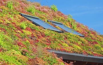 Papplewick living roof systems